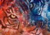 Klik og se Tiger Blå og Rød større