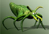 Klik og se Green Bug større